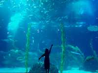 濟州島水族館｜一篇在手，暢遊無憂