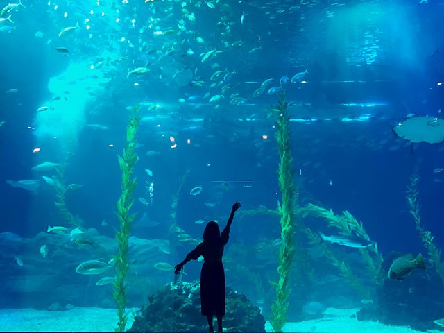 濟州島水族館｜一篇在手，暢遊無憂