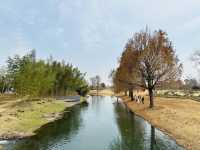 上海辰山植物園