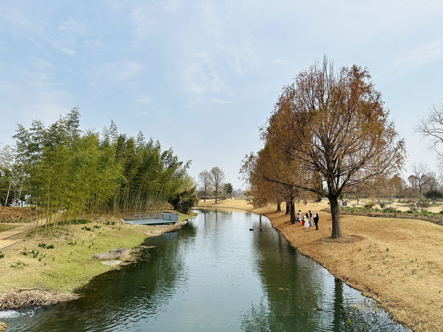 上海辰山植物園