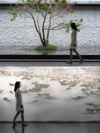 為這中式美學瘋狂心動廣州市區避世秘境