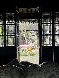 春日尋花漫步