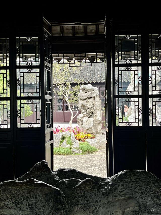 春日尋花漫步
