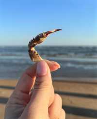 奔赴蔚藍海岸，邂逅法式浪漫