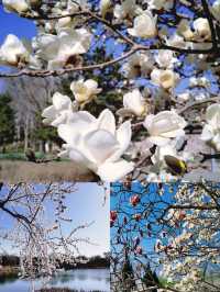 又一個小眾打卡點：北塢公園