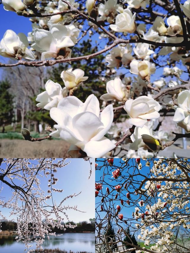 又一個小眾打卡點：北塢公園