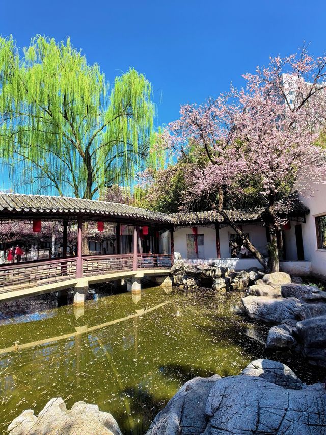 北京都能拍出江南大片丨紫竹院友賢山館