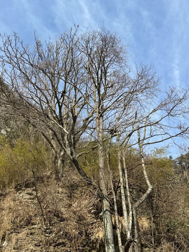 十堰3日深度遊｜玩轉全城的秘密