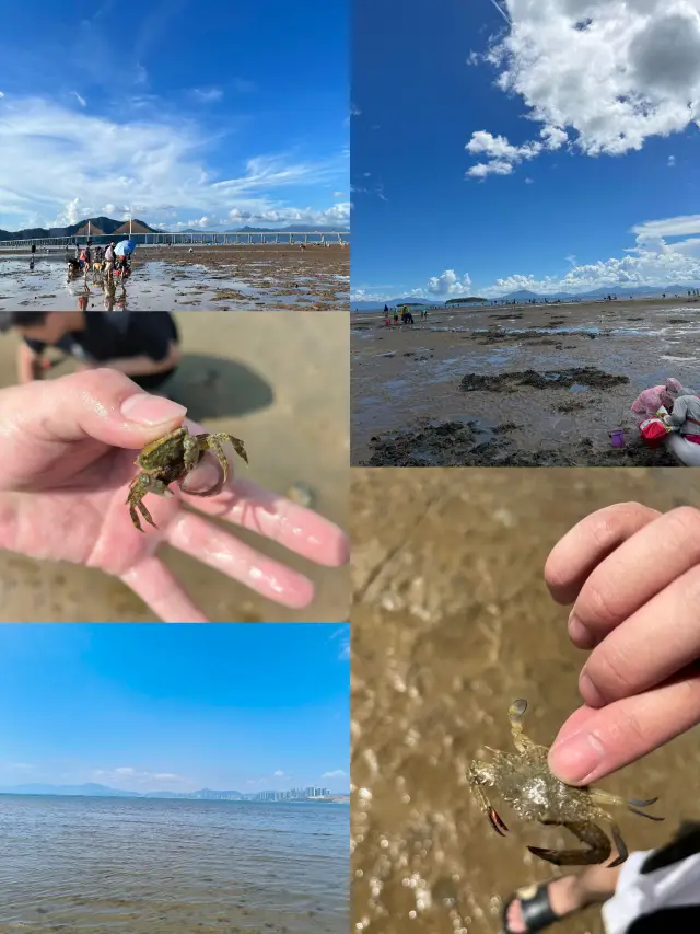 惠州巽寮灣趕海公園超詳細攻略，挖到寶藏不是夢！