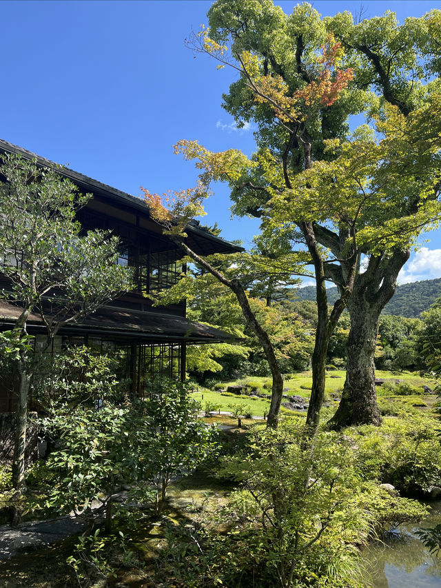 日本—京都—關西之旅—6天 第二篇
