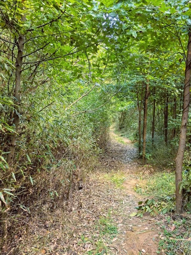 探秘「寧波小里約」栲栳山，解鎖絕美徒步路線