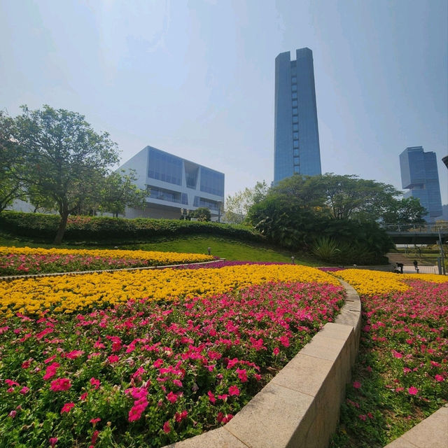 🌊 선전 여와공원 :: 신화와 휴식이 공존하는 해안 오아시스
