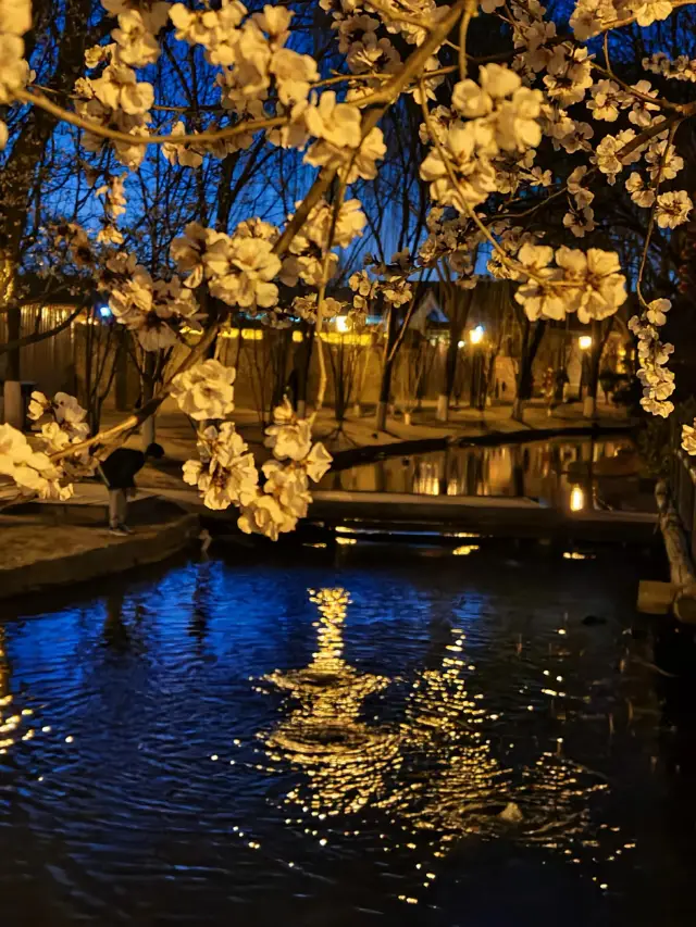 Beijing's Flower Viewing Paradise | Step into a Real-Life Peach Blossom Paradise 