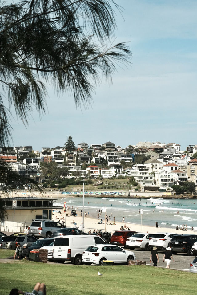 南半球最Chill嘅海灘bondi beach