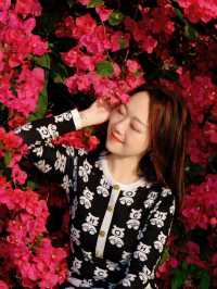 🌸全家一起去踏春｜廣州海珠湖🍀