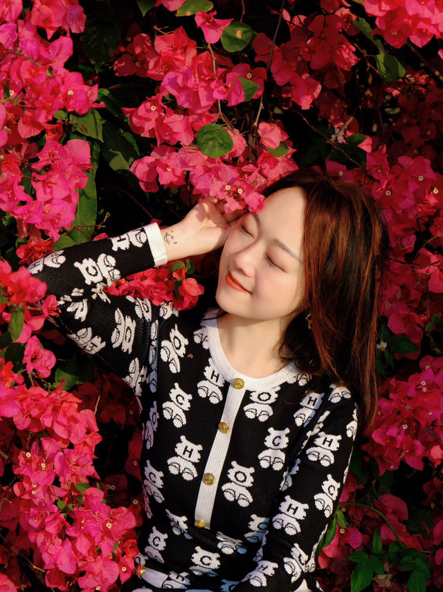 🌸全家一起去踏春｜廣州海珠湖🍀