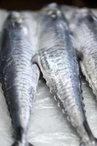 在紅海魚市場盡情享受味蕾盛宴——吉達中央海鮮市場
