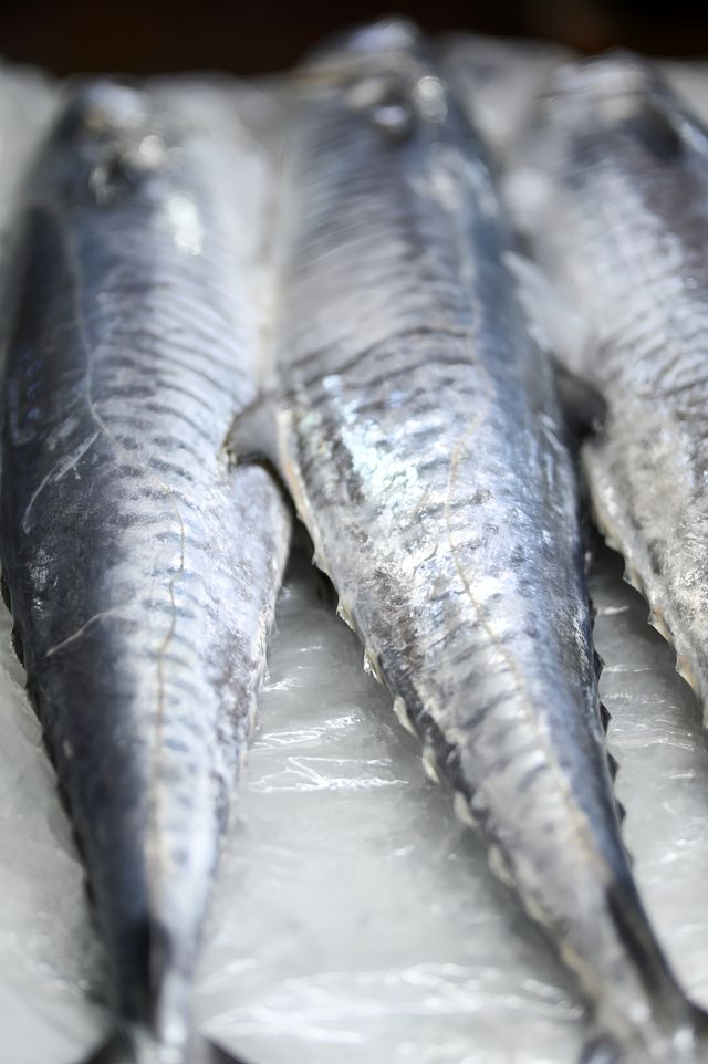 在紅海魚市場盡情享受味蕾盛宴——吉達中央海鮮市場