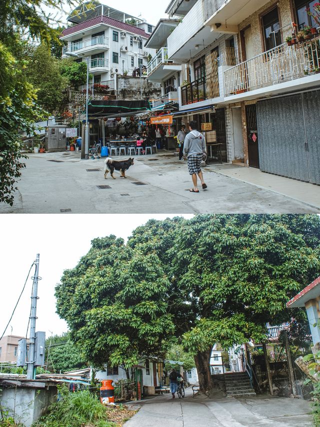 香港徒步 | 逃離人山人海，解鎖發哥故鄉的避世小島