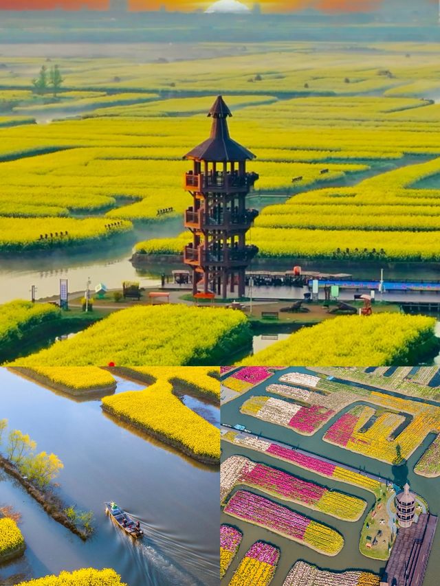 泰州｜被嚴重低估你4-5月份旅行寶藏地，附攻略！