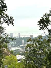 板障山森林公園：徒步邂逅自然之美