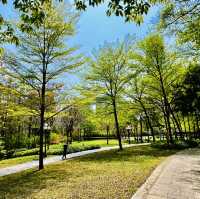 深圳原來有個荔枝公園？