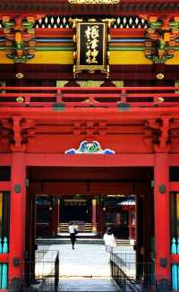探索根津神社——東京的隱世瑰寶