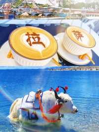 拉薩，一場觸及靈魂的饕餮之旅