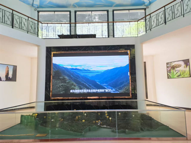 打卡莽山自然博物館