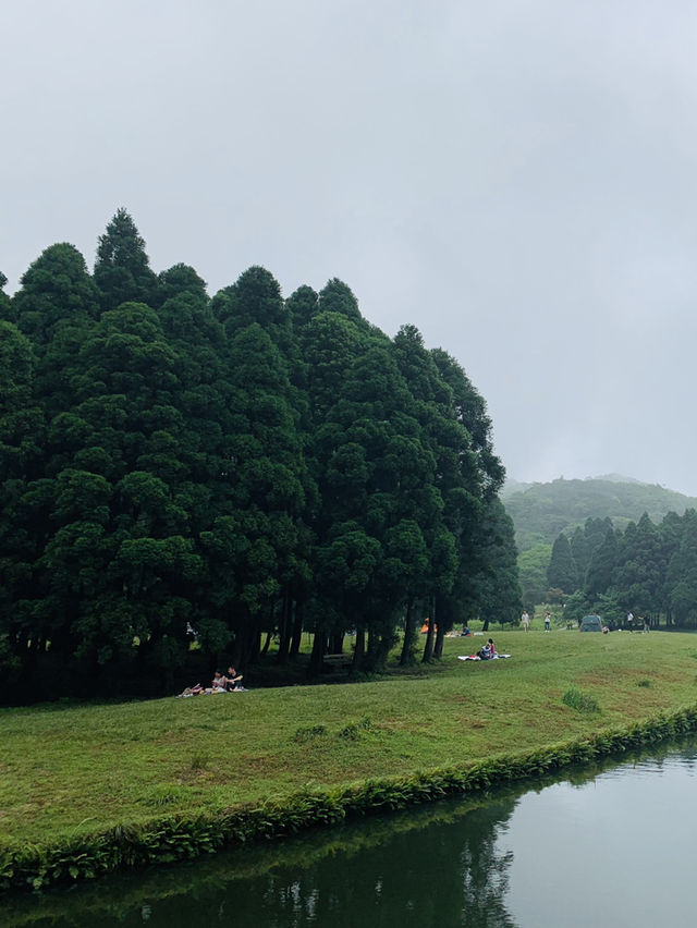 玉林大容山森林公園：霧中仙境之約