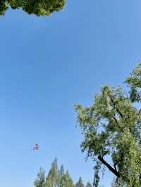 共青森林公園｜自然景觀＆休閒娛樂