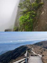 探秘福建金饶山：隱藏在大山深處的絕美風光