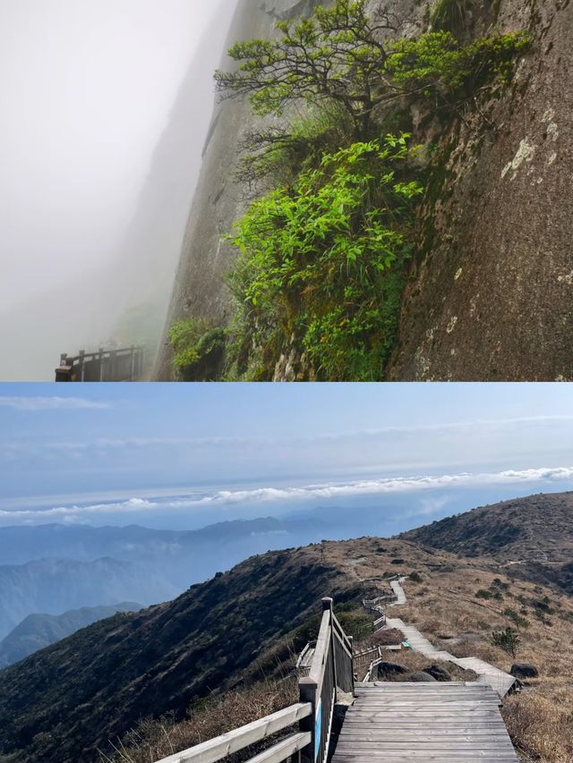探秘福建金饶山：隱藏在大山深處的絕美風光