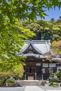 日本伊豆預計今年夏天會成為爆紅的旅遊熱點
