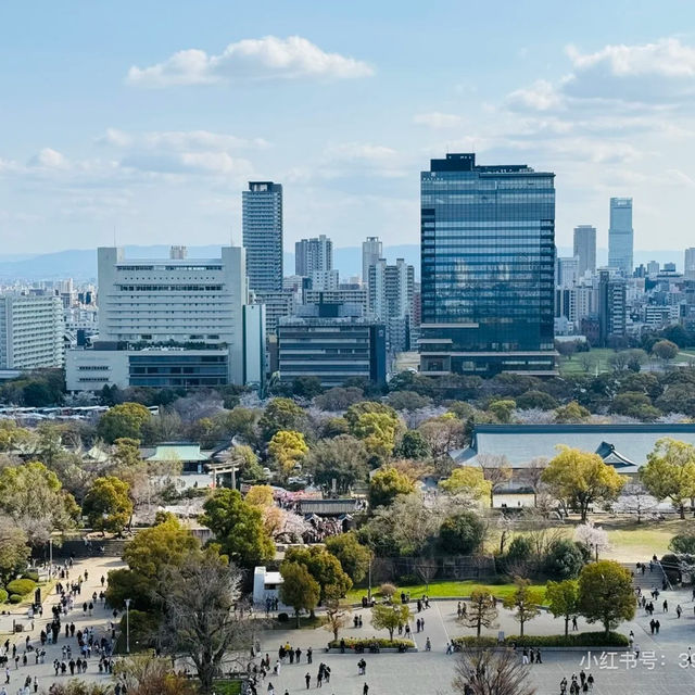 🌸大阪雙城記｜在天守閣賞櫻，到心齋橋撒野🌸