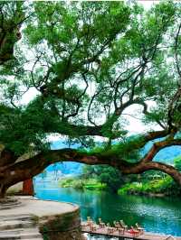 【婺源四日漫遊指南｜從油菜花海到徽州古村的深度攻略】