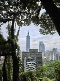 步道間的城市秘語