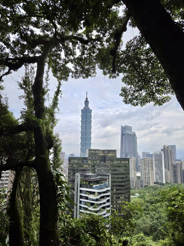 步道間的城市秘語