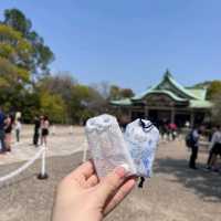 大阪城🌸櫻花和天守閣的適配度100%‼️