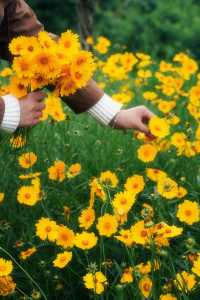 ——喺自然秘境中,喚醒生活嘅詩意