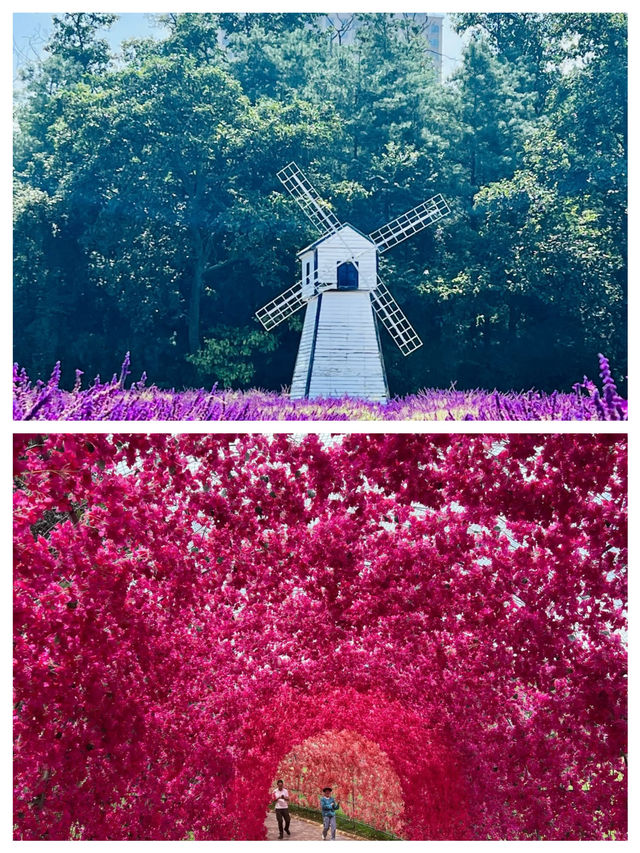 情侶必去的打卡點 浪漫小鎮氛圍感出片的聖地