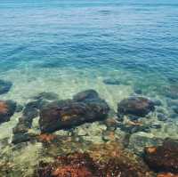 深圳大澳灣：浮潛與趕海嘅夢幻之境