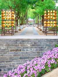 藏在嘉興的千年古城遺址公園，真嘅好好行！