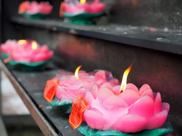 真如寺：鬧市中的千年禪意秘境