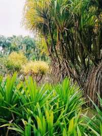 Hunan Botanical Garden: A Floral Diversity Book in Changsha