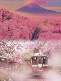 東京早櫻……好似漫畫中嘅春日場景
