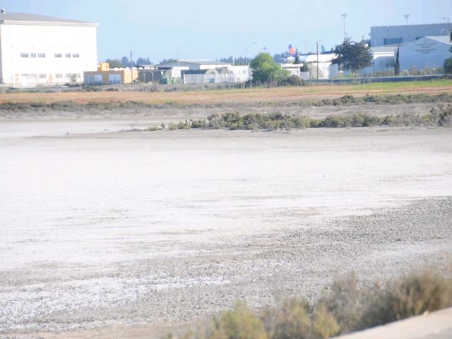 塞浦路斯拉納卡鹽湖
