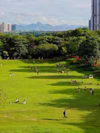 深圳大沙河公園漫遊指南｜都市綠肺裡的全齡段治癒之旅