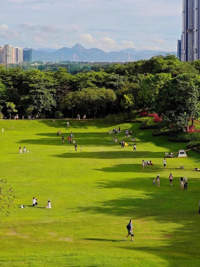 深圳大沙河公園漫遊指南｜都市綠肺裡的全齡段治癒之旅