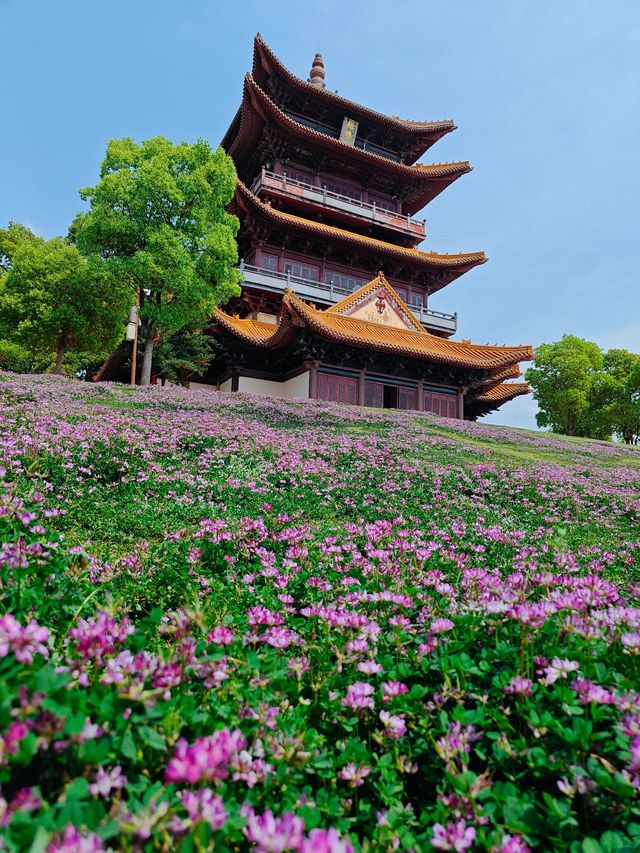 景德鎮美學慢旅行！三日兩夜親子遊玩直接照抄！